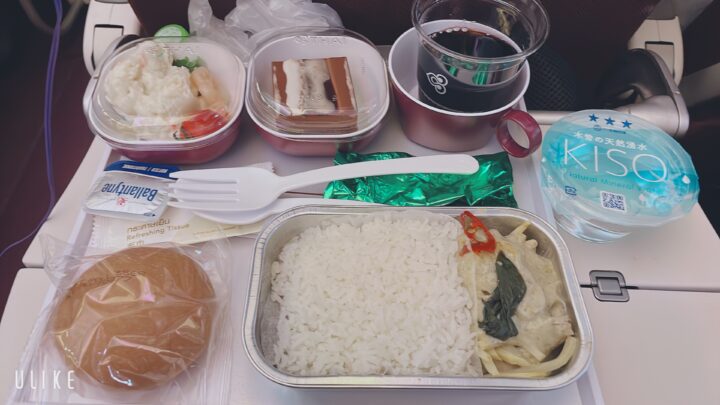 TG 683便機内食チキン