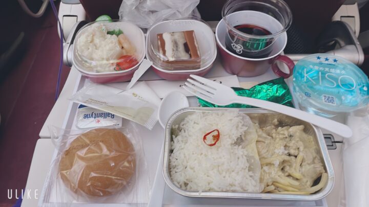 TG 683便機内食チキン